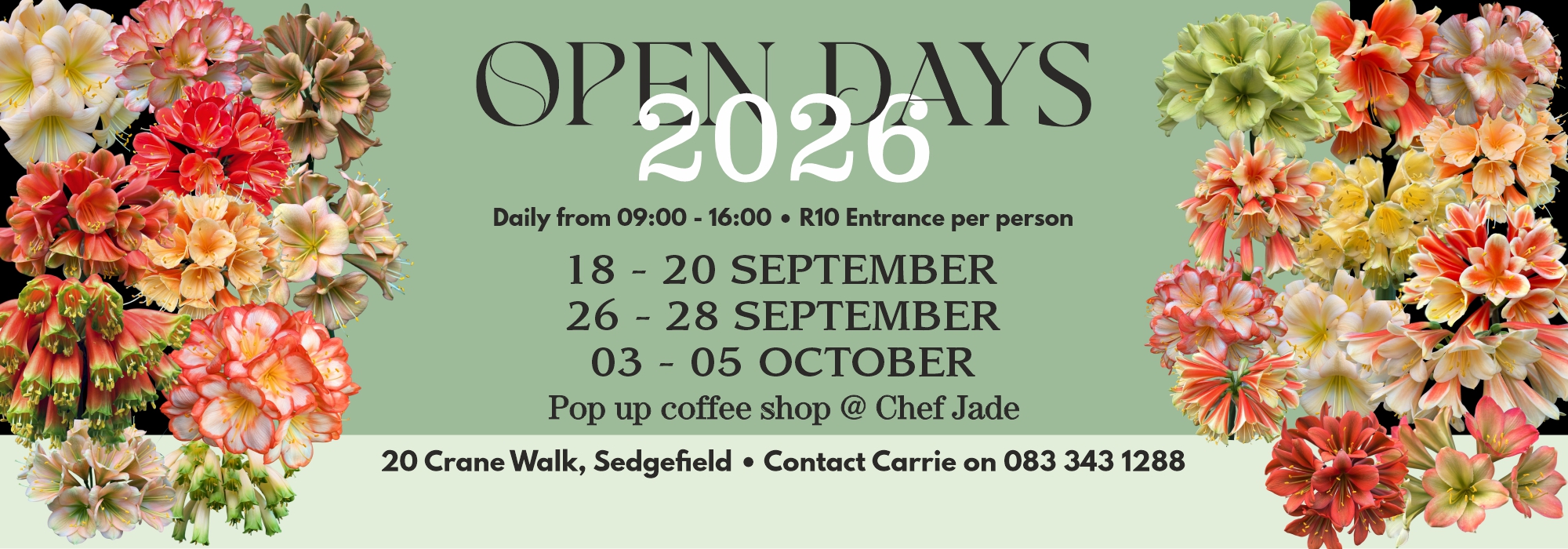 Open Days