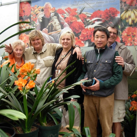 Clivia Breeding Inspirations: Tribute to Legendary Growers | Utopia Clivias