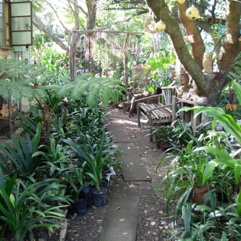 A Garden for Jason, A Gift to the World