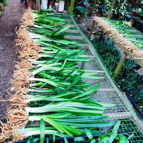 Secure Packaging for Local & International Orders