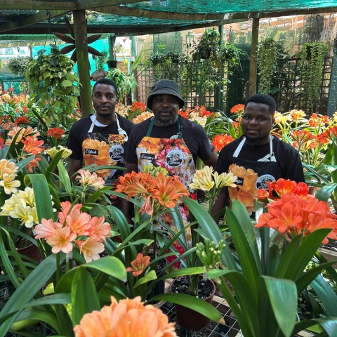 “A Season to Remember: Highlights from Our Annual Open Days”