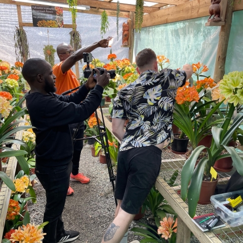 How Utopia Clivias and Black’n White Visual Media Are Transforming Clivia Education Online