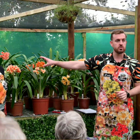 Promoting Clivia Through Education and Outreach