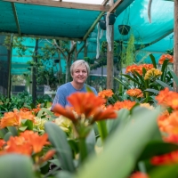 Carrie and Luke welcomes you to Utopia Clivias