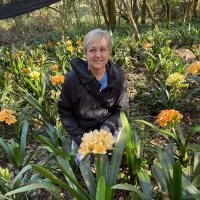 Carrie between the Clivias