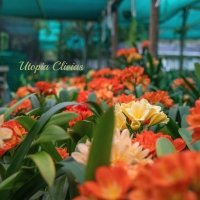 We have two properties to visit